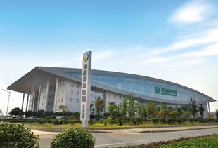 紅網政務中心 科技賦能文教，智慧服務民生