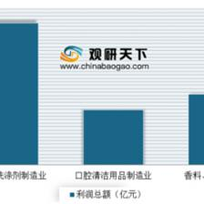 2019年中國塑料包裝市場分析報告 聚焦日用化學(xué)產(chǎn)品制造領(lǐng)域的運(yùn)營現(xiàn)狀與投資商機(jī)